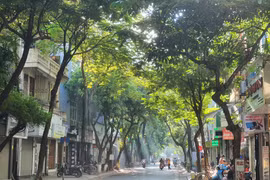 Khu vực Bắc Bộ nắng nhẹ, Tây Nguyên và Nam Bộ mưa rải rác