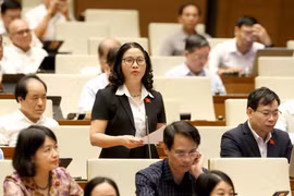Đại biểu Quốc hội thành phố Hà Nội Nguyễn Thị Lan phát biểu. (Ảnh: Phương Hoa/TTXVN)