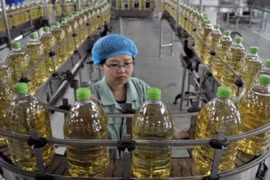 Mỹ nhập dầu ăn đã qua sử dụng của Trung Quốc để sản xuất nhiên liệu