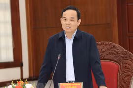 Phó Thủ tướng Trần Lưu Quang hội đàm với người đồng cấp Tây Ban Nha