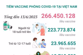 [Infographics] Cập nhật tình hình tiêm vaccine COVID-19 tại Việt Nam
