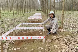 Chị Nguyễn Thị Diệu Linh tại hiện trường rà phá bom chùm và vật liệu nổ tại thôn Hải An, xã Hải Thái, huyện Gio Linh. (Ảnh: Thanh Thủy/TTXVN)