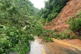 Nâng cao năng lực cảnh báo chi tiết đến điểm có nguy cơ sạt lở