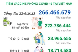 [Infographics] Tình hình tiêm vaccine COVID-19 tại Việt Nam ngày 23/6