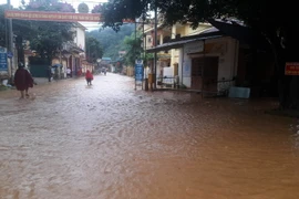 Các tỉnh từ Bắc Bộ đến Hà Tĩnh có mưa to về chiều tối và đêm