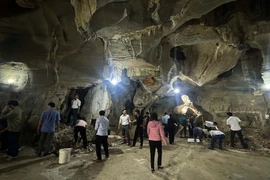 Chấn chỉnh hoạt động tu bổ, tôn tạo di tích tại tỉnh Thanh Hóa