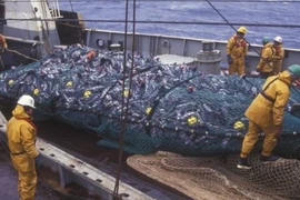 Trung Quốc chính thức chấp nhận hiệp định về trợ cấp nghề cá của WTO