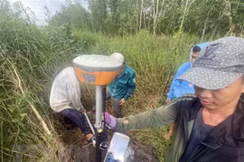 TP.HCM lập tổ công tác nghiên cứu khai thác quỹ đất dọc Vành đai 3