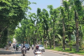 Khu vực Bắc Bộ và thủ đô Hà Nội đêm không mưa, ngày nắng nóng
