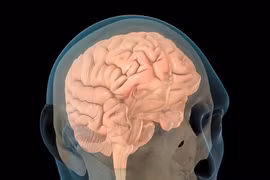 Ứng dụng AI cải thiện trí nhớ cho bệnh nhân bị chấn thương sọ não