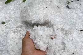 Điện Biên: Mưa đá khiến nhiều khu vực bị phủ lớp đá dày trắng xóa