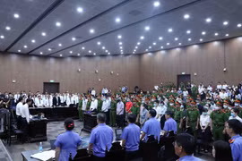 Vụ Chuyến bay giải cứu: Cựu điều tra viên đề cập việc bỏ lọt tội phạm