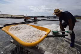 Hàn Quốc kiểm tra chuyên sâu về phóng xạ trên các cánh đồng muối