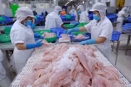 Nhiều cơ hội cho hàng Việt Nam xuất khẩu sang thị trường Israel