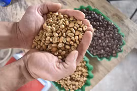 Doanh nghiệp Thành phố Hồ Chí Minh linh hoạt nắm bắt mọi cơ hội