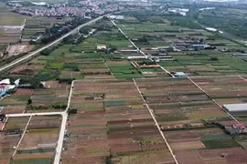 Sửa đổi, bổ sung nhiều quy định hướng dẫn thi hành Luật Đất đai