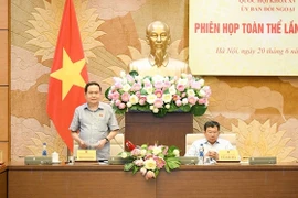 Nâng cao hiệu quả hoạt động đối ngoại của Quốc hội trong tình hình mới