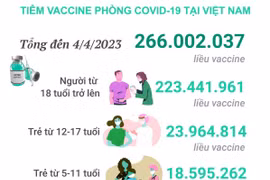 [Infographics] Tình hình tiêm vaccine phòng COVID-19 tại Việt Nam