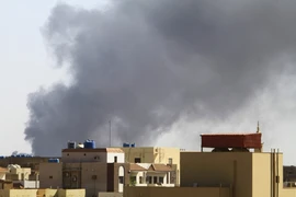 Kêu gọi lệnh ngừng bắn 'ngay lập tức và lâu dài' tại Sudan