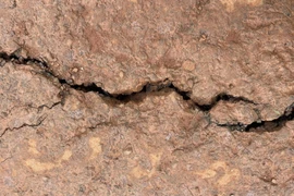 Đắk Nông: Sớm xác định nguyên nhân nứt gãy, sạt lở đất tại Tuy Đức