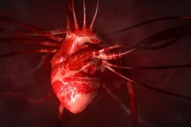 "Hormone tình yêu" có thể chữa lành các con tim tan vỡ