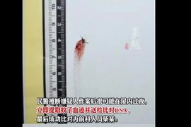 Xác muỗi dính máu đã khiến Chai sa lưới. (Nguồn: Thời báo Hoàn Cầu)