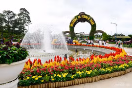 Đà Lạt vào top 10 điểm đến ngắm hoa hàng đầu của thế giới