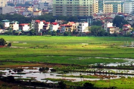 Đất ở tại Nghệ An có mức giá tối đa 51 triệu đồng mỗi m2