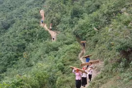 Tái diễn tình trạng "xẻ thịt" rừng quốc gia Hoàng Liên