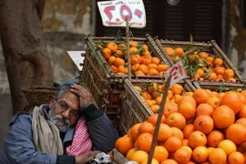 Thâm hụt ngân sách của Ai Cập tăng lên mức 11,8 tỷ USD