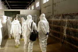 Hàn Quốc, Mỹ thảo luận vấn đề hạt nhân của Triều Tiên