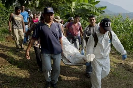 Colombia: FARC bắt đầu thực hiện ngừng bắn đơn phương