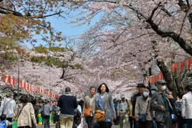 Mở rộng miễn phí wifi nhằm thu hút du khách quốc tế tại Nhật Bản