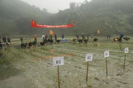 Về Định Biên, nghe câu chuyện về lòng quả cảm của người lính Cụ Hồ