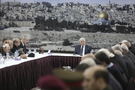 Palestine trình LHQ dự thảo nghị quyết chấm dứt chiếm đóng của Israel