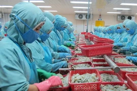 Doanh nghiệp chưa nhận thức rõ rào cản kỹ thuật trong thương mại