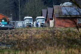 Phát hiện virus cúm gia cầm H5N8 tại bang thứ hai ở Đức