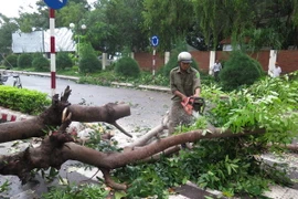 Công điện yêu cầu các địa phương chủ động đối phó bão Hagupit
