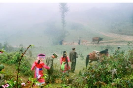 Bắc Bộ trời trở rét, Trung Bộ đề phòng lũ quét và sạt lở đất