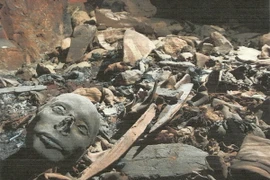 Ai Cập bác tin phát hiện nghĩa địa chứa "cả triệu xác ướp"