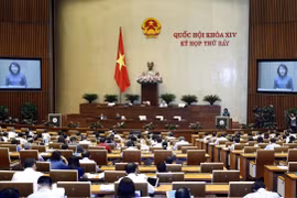 Phó Chủ tịch nước Đặng Thị Ngọc Thịnh trình bày Tờ trình về việc gia nhập Công ước số 98 của Tổ chức Lao động quốc tế về Áp dụng những nguyên tắc của quyền tổ chức và thương lượng tập thể. (Ảnh: Lâm Khánh/TTXVN)