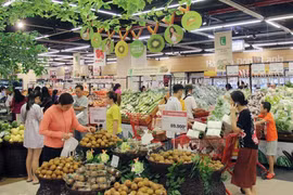 (Ảnh minh họa: Mỹ Phương/TTXVN)
