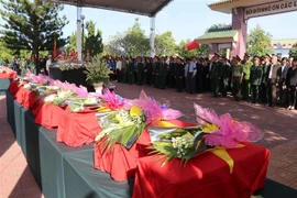 (Ảnh minh họa: Dư Toán/TTXVN)
