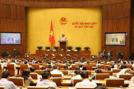 (Ảnh: Dương Giang/TTXVN)