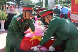 (Ảnh minh họa: Dư Toán/TTXVN)