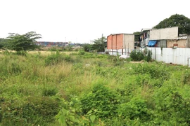 (Ảnh minh họa: Trần Xuân Tình/TTXVN)