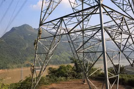 Công nhân Công ty Truyền tải Điện 1 bảo dưỡng đường dây 500kV Lai Châu-Sơn La. (Ảnh: Ngọc Hà/TTXVN)