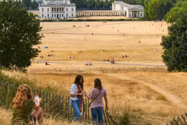 Công viên Greenwich trong mùa Hè 2019. (Nguồn: Alamy)