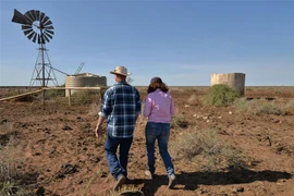 Cảnh khô hạn ở ngoại ô thị trấn Booligal, phía Tây bang New South Wales, Australia. (Ảnh: AFP/TTXVN)