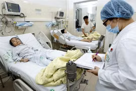 Bảy ngày nghỉ Tết trên địa bàn Thành phố cũng có 58 trường hợp tử vong do tai nạn giao thông, tai nạn sinh hoạt và các nguyên nhân khác. Aảnh minh họa. (Ảnh: Dương Ngọc/TTXVN)